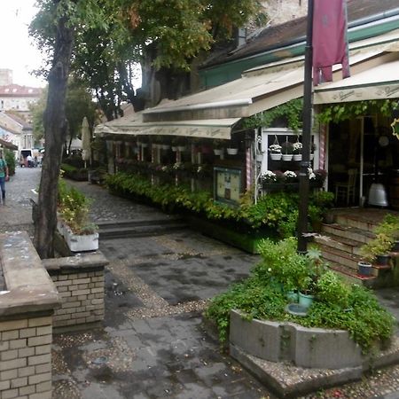 Apartment Nedic ベオグラード エクステリア 写真